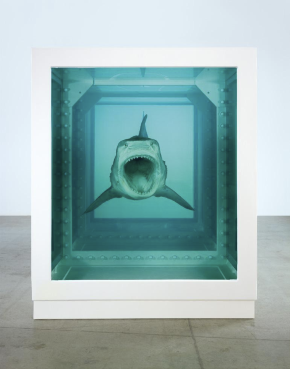 Screenshot 2022-07-13 at 16.49.51.png