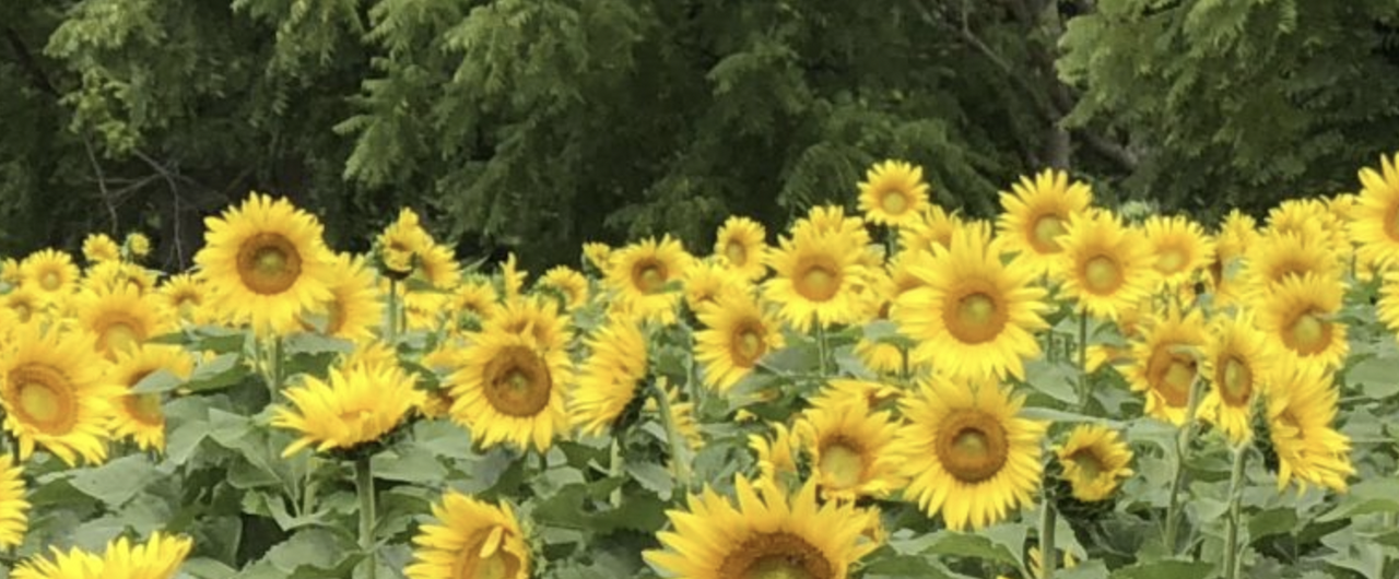 스크린샷 2022-06-14 오전 8.58.15.png