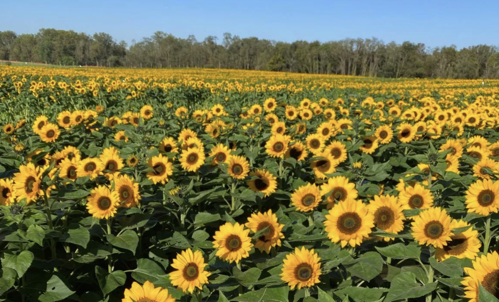 스크린샷 2022-06-06 오전 7.58.39.png