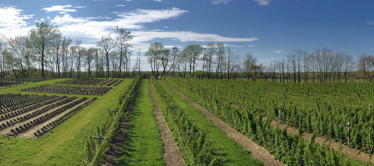 스크린샷 2022-06-14 오전 8.55.53.png