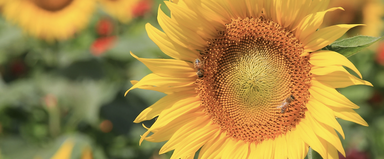 스크린샷 2022-06-14 오전 8.56.07.png