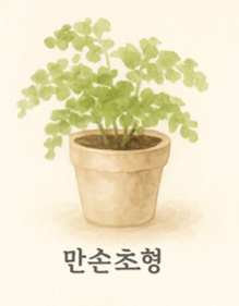 KakaoTalk_20250609_002218534.png