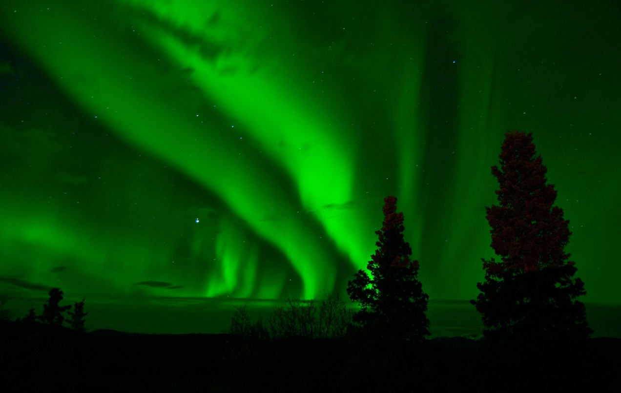 스크린샷 2026-01-19 163218.png