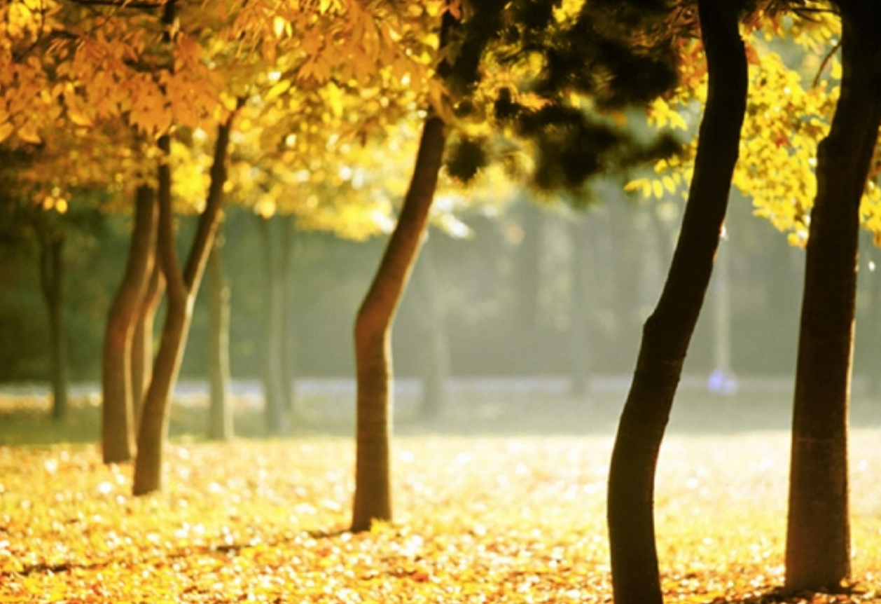 스크린샷 2026-01-04 193043.png