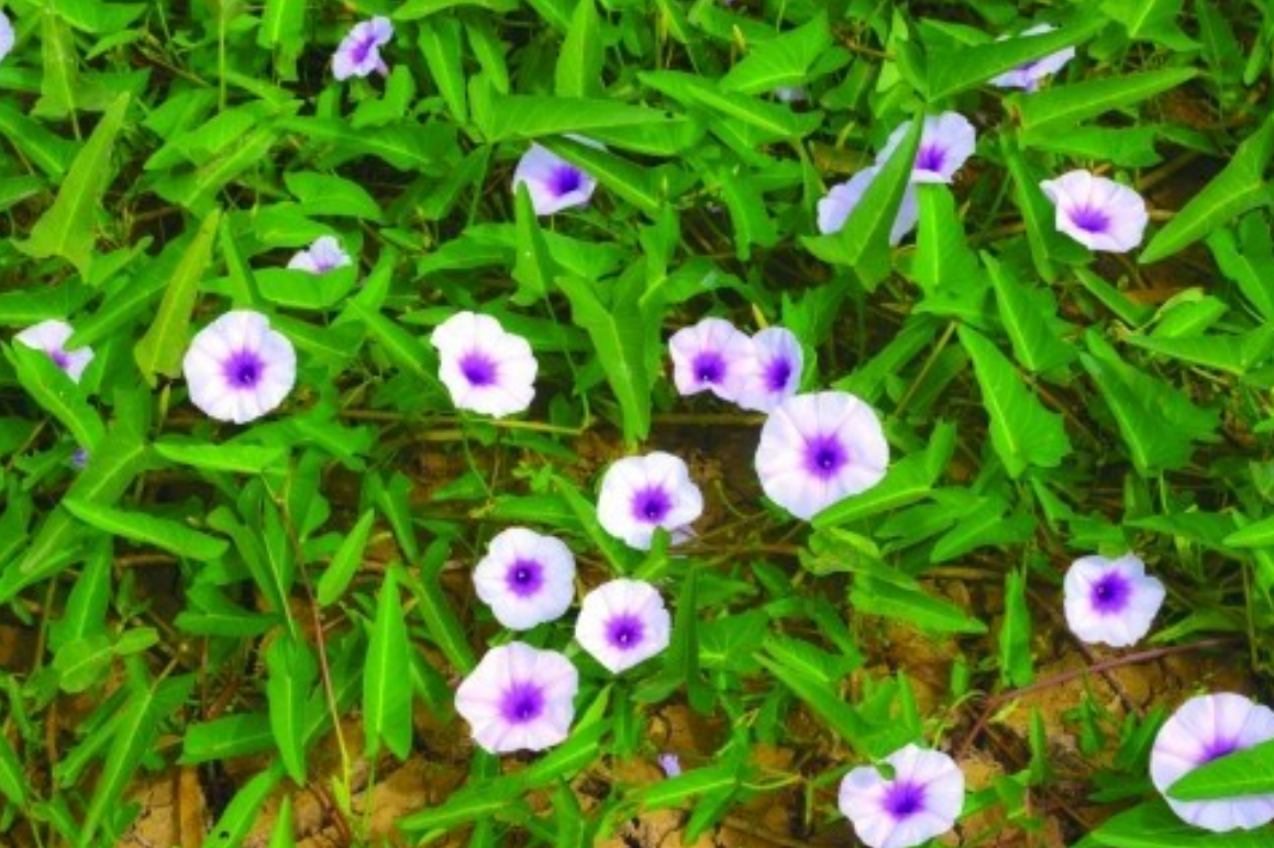 스크린샷 2026-01-01 235227.png