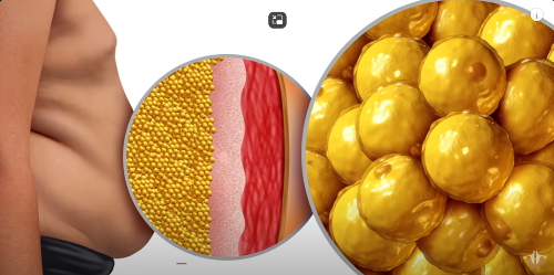 스크린샷 2024-12-09 152831.png