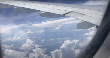 Screen Shot 2020-08-24 at 2.18.09 pm.png