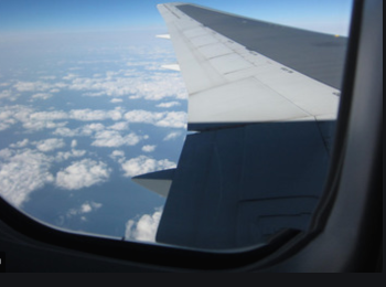 Screen Shot 2020-08-19 at 12.20.31 pm.png