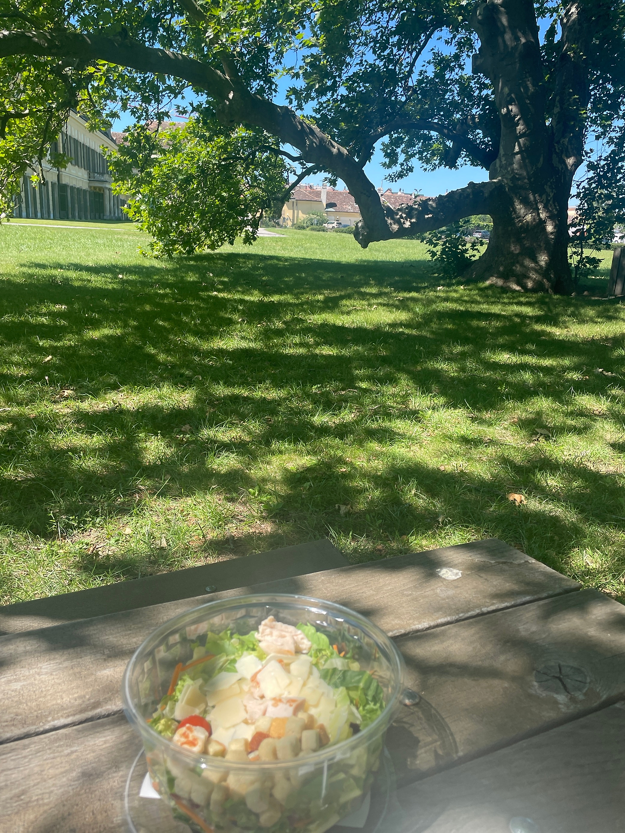 MicrosoftTeams-image (2).png