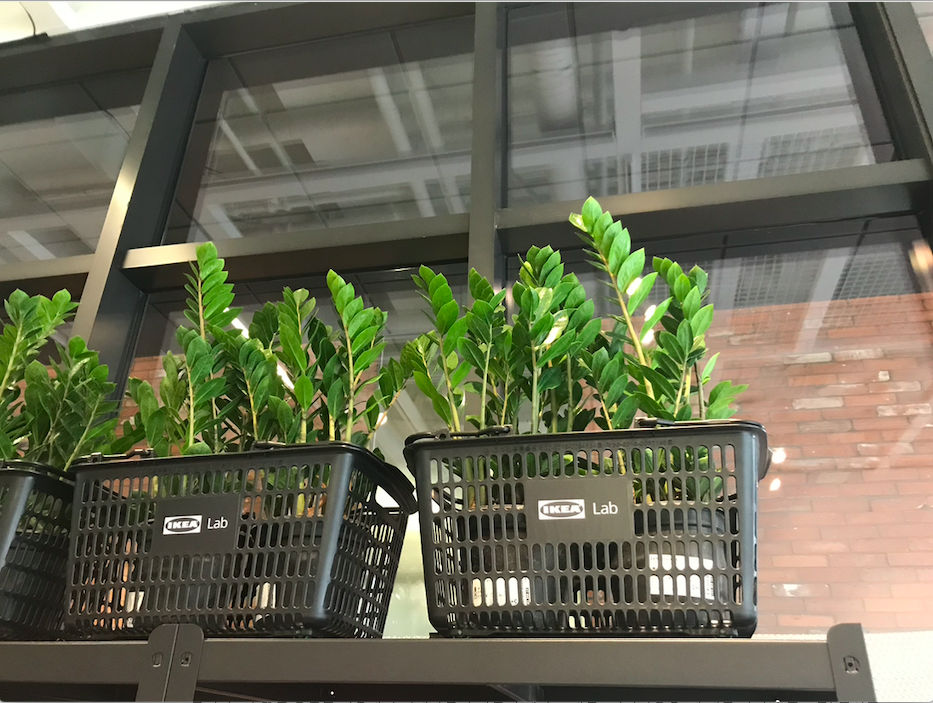 스크린샷 2020-11-06 오전 12.47.58.png