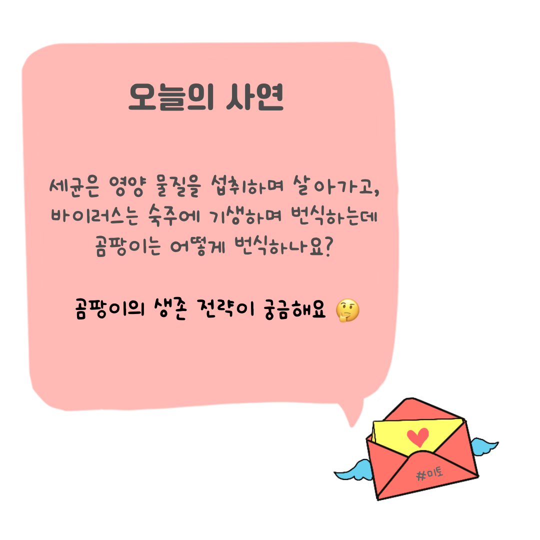 KakaoTalk_20221013_123037585.png