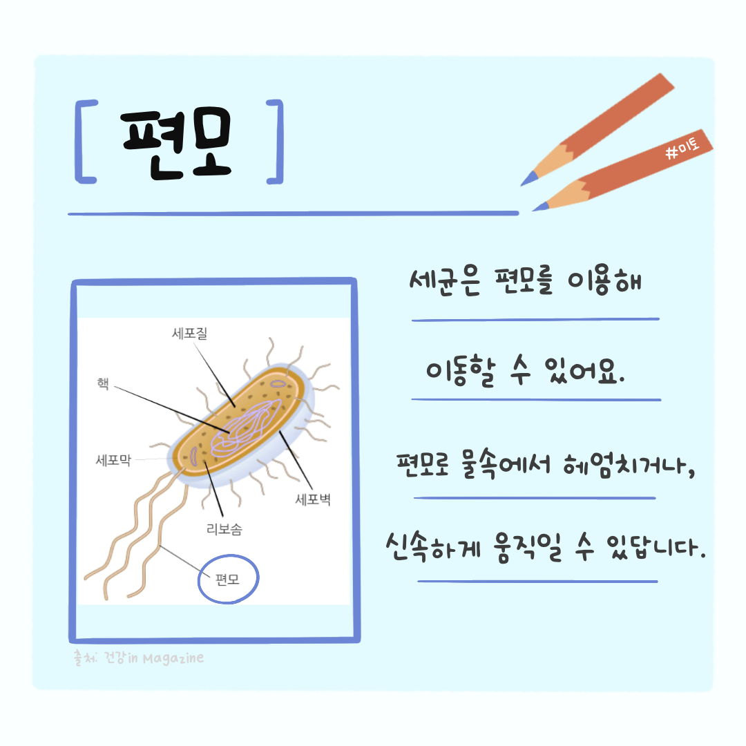 KakaoTalk_20221001_162315097.png