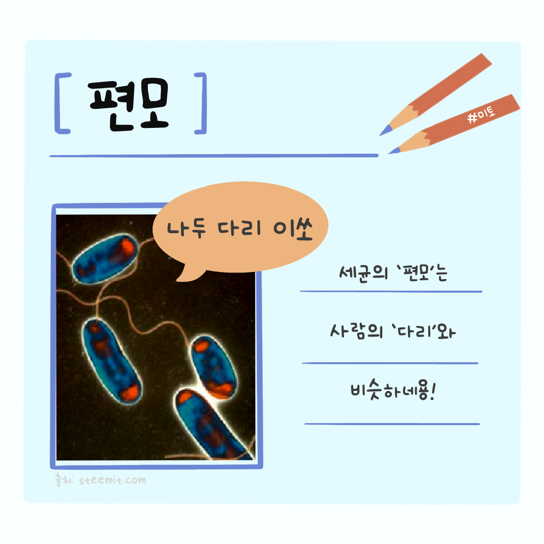 KakaoTalk_20221001_162355307.png