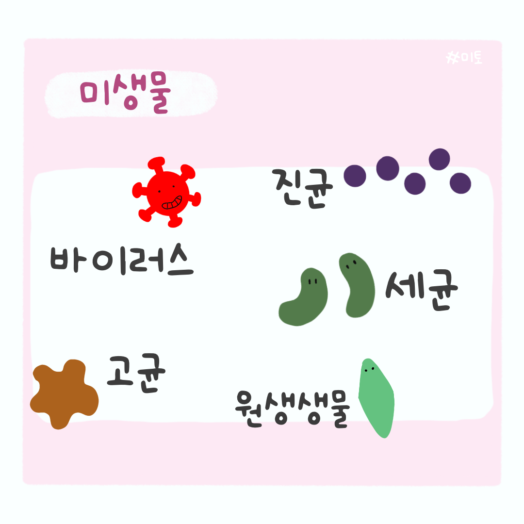 KakaoTalk_20221002_162920457.png