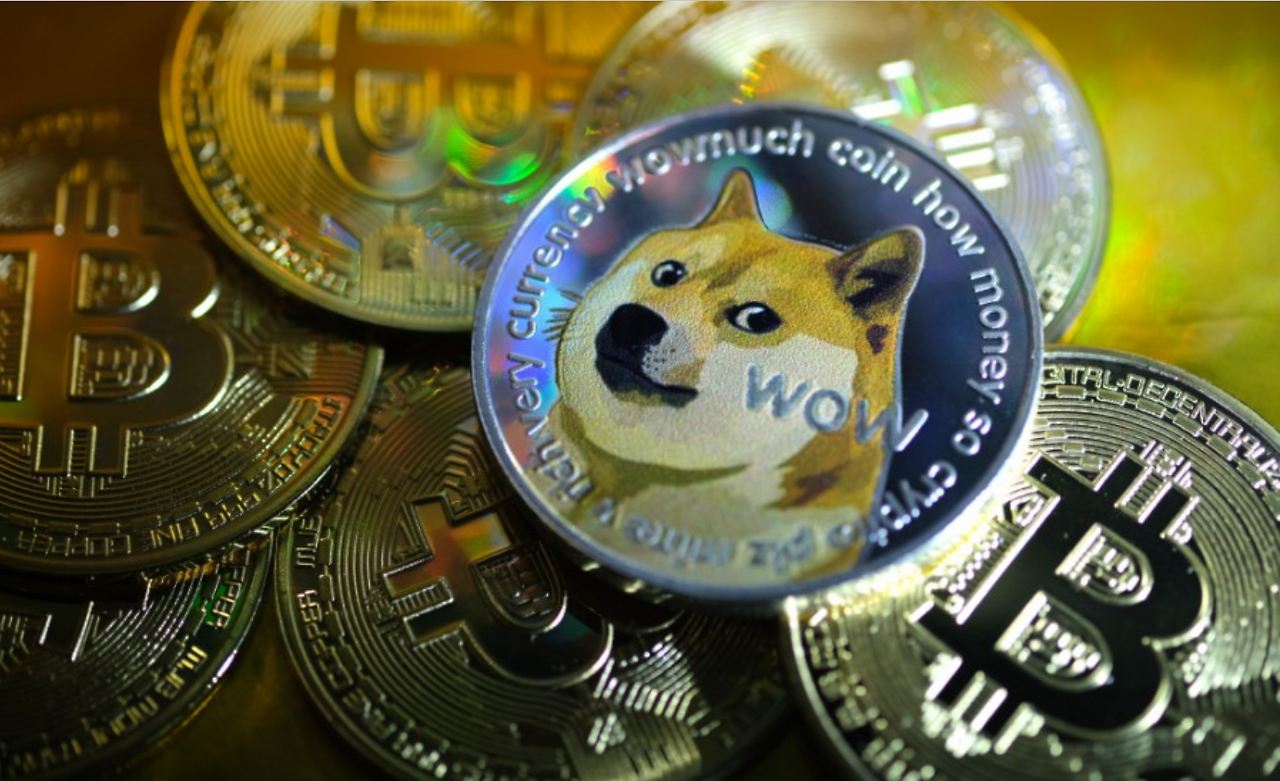 음봉과 양봉, 그것은 우리네 삶과 닮아있다.