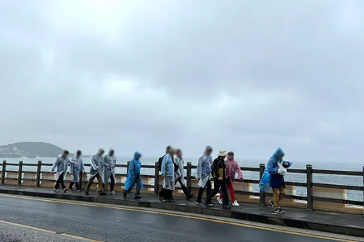 손심엉올레 2.png