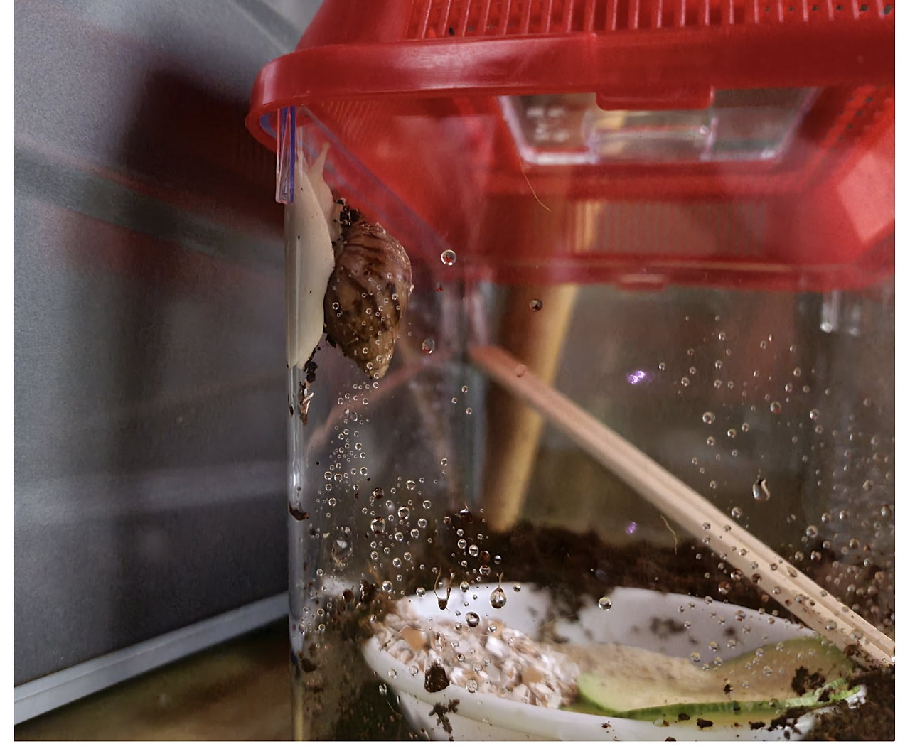 스크린샷 2022-10-09 오후 10.05.18.png