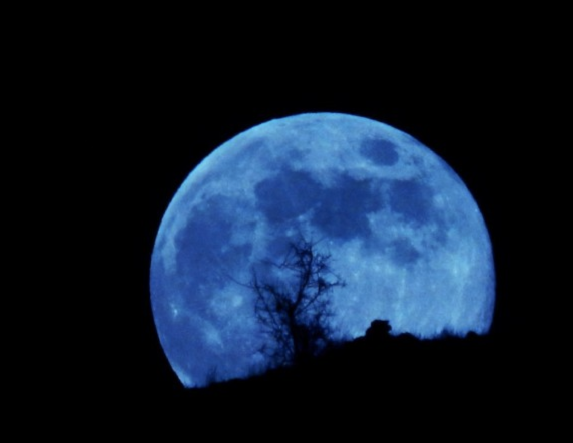 RealBluemoon.png