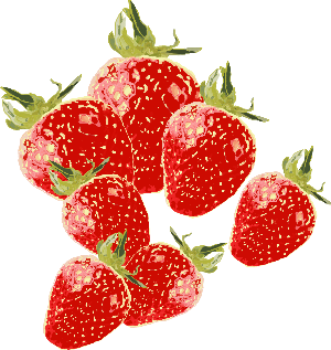 딸기묶음.png