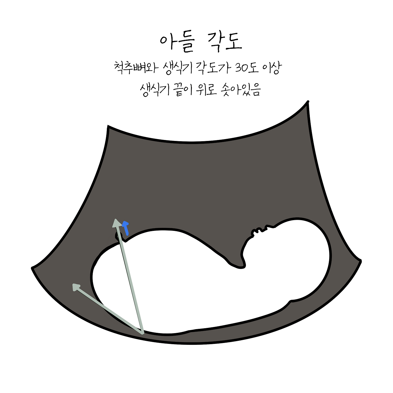 제목_없는_아트워크 2.png