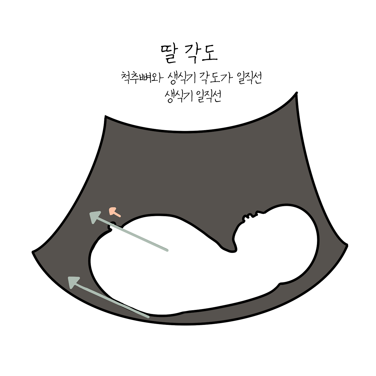 제목_없는_아트워크 1.png