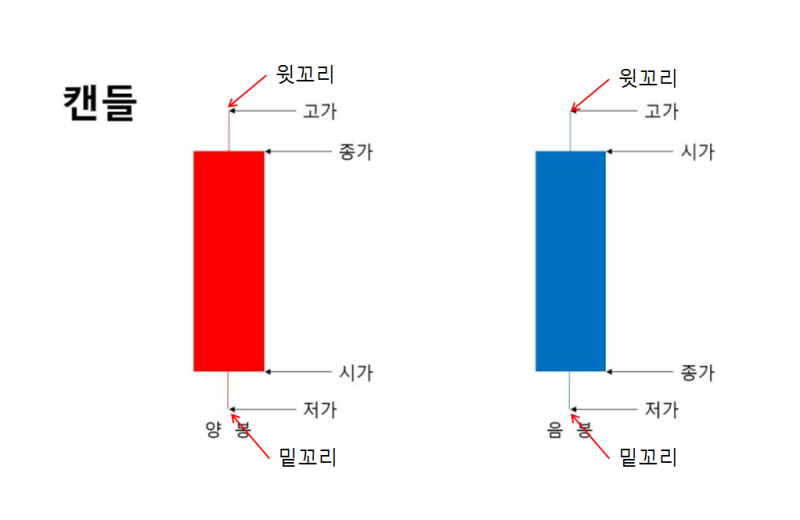 윗꼬리2.png