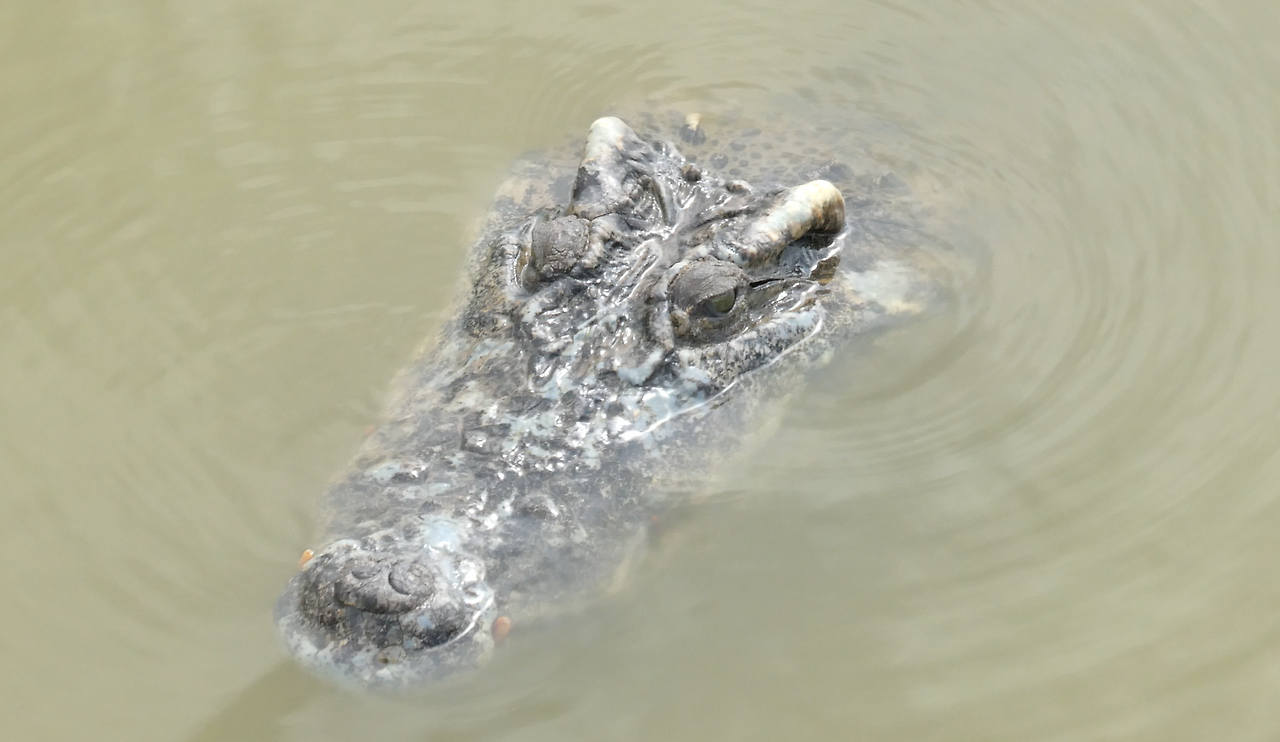 스크린샷 2025-09-26 오전 2.20.18.png