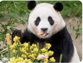 스크린샷 2023-08-17 164027.png