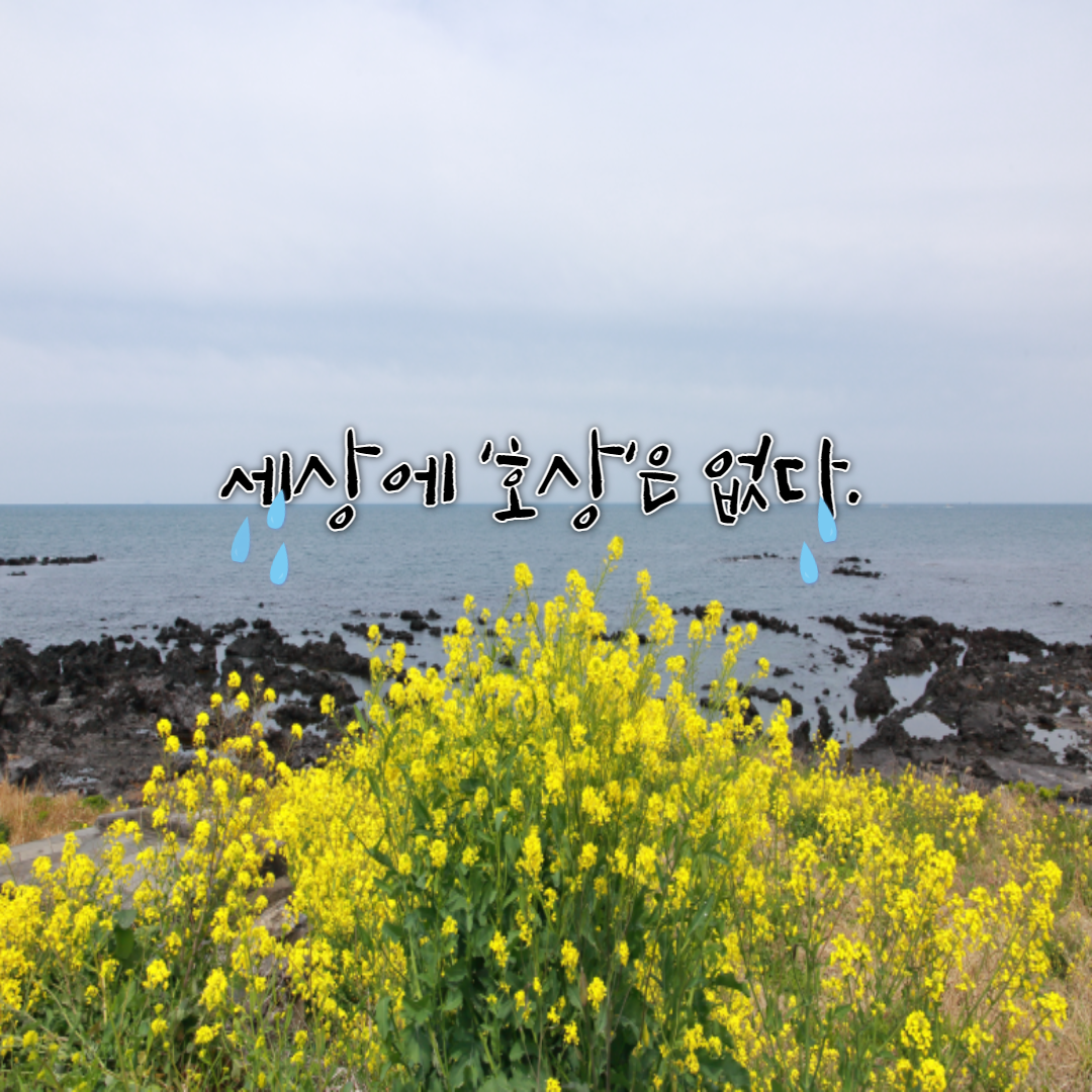 꽃바다-001 (2).png