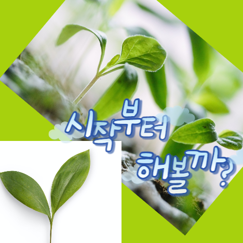새싹사진-001.png