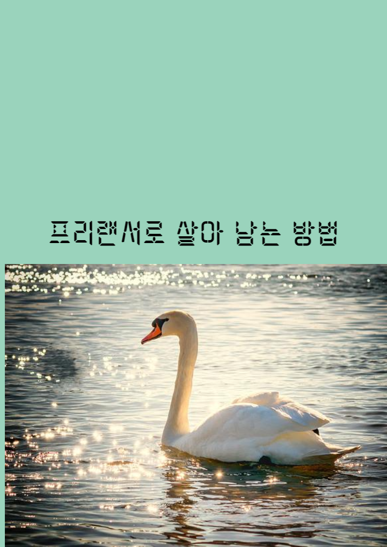 제목을 입력해주세요_-001 (2).png