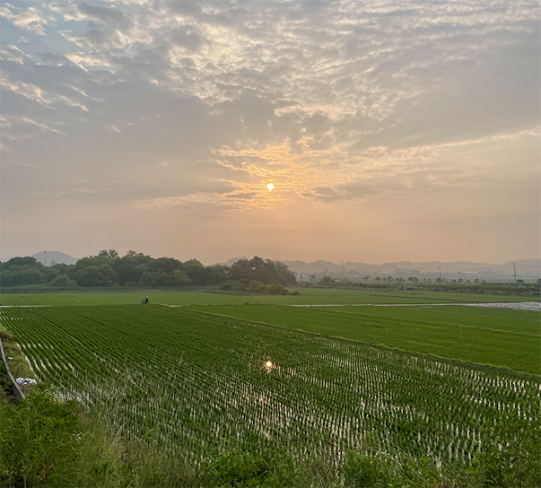 Screenshot 2024-07-08 at 12.06.33 PM.png