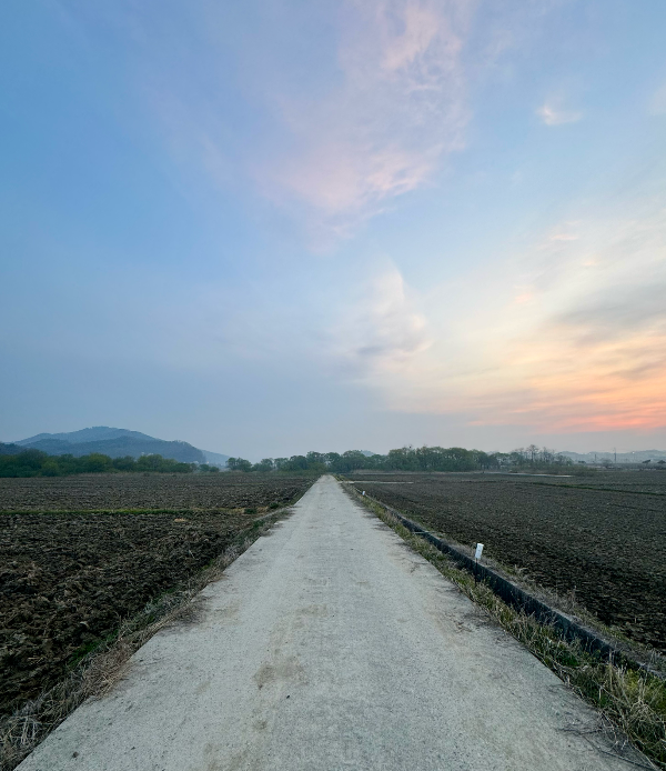 Screenshot 2024-08-20 at 2.05.21 PM.png