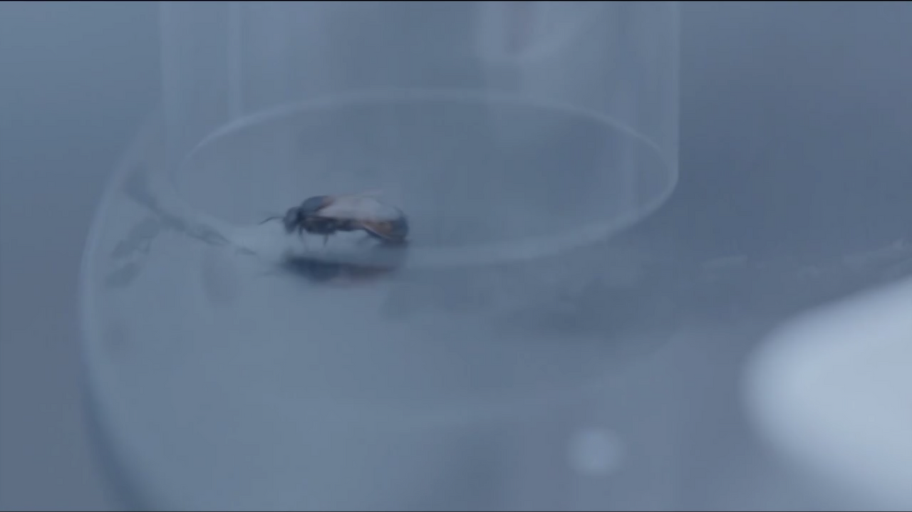 스크린샷 2021-04-18 오전 1.06.25.png