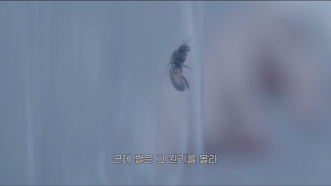 스크린샷 2021-04-18 오전 1.08.00.png