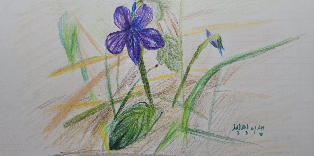 씩씩이샘 그림(앉은뱅이꽃).png