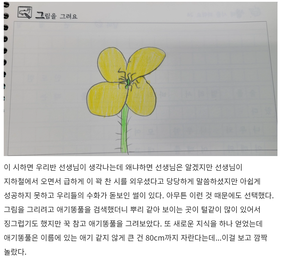 김서율, 애기똥풀.png