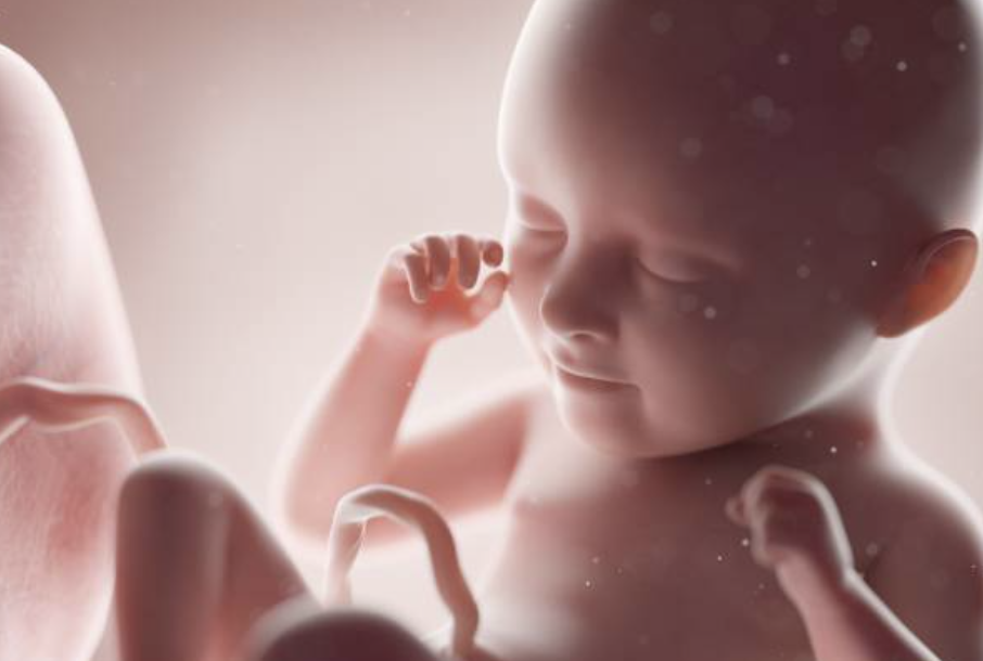 Screenshot 2025-03-23 at 16.10.38.png