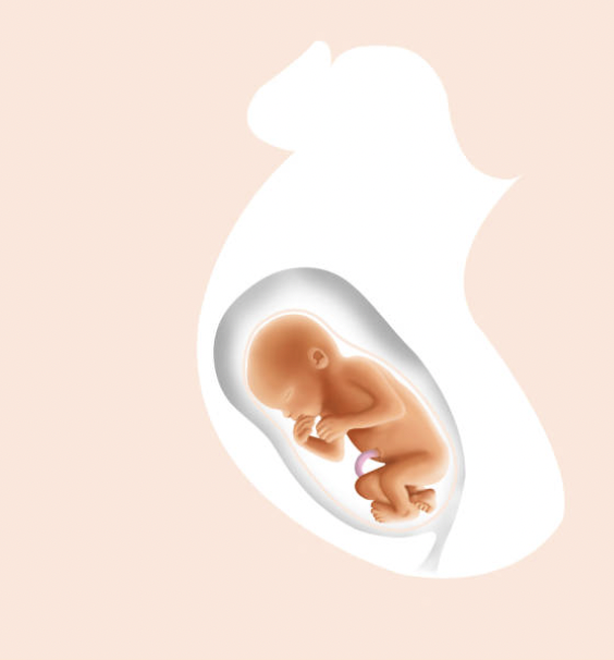 Screenshot 2025-01-27 at 14.27.00.png