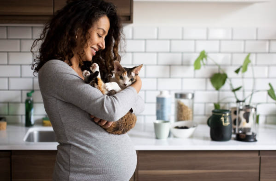 Screenshot 2025-01-21 at 22.08.15.png