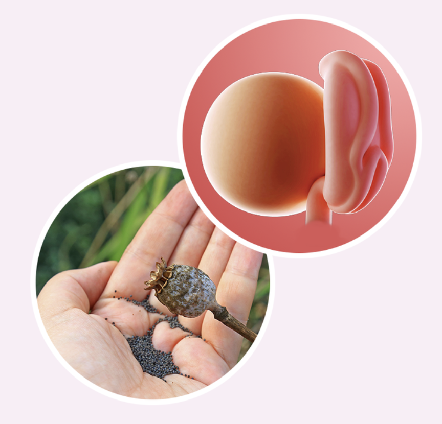 Screenshot 2025-01-18 at 14.41.21.png