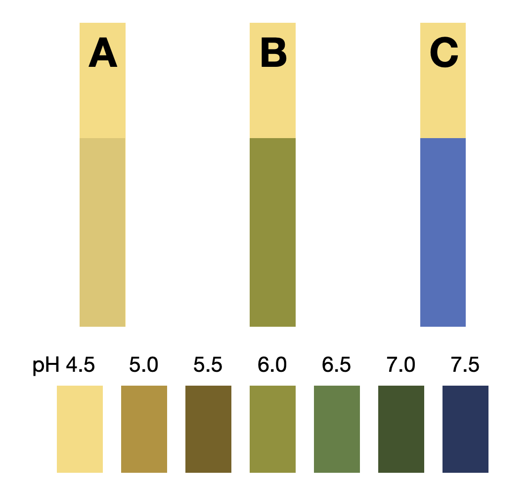 Screenshot 2025-02-07 at 21.31.15.png