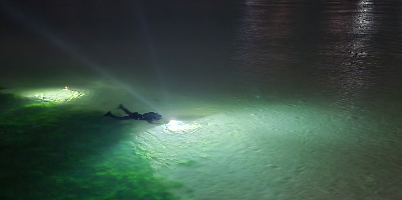 화면 캡처 2025-05-23 162619.png