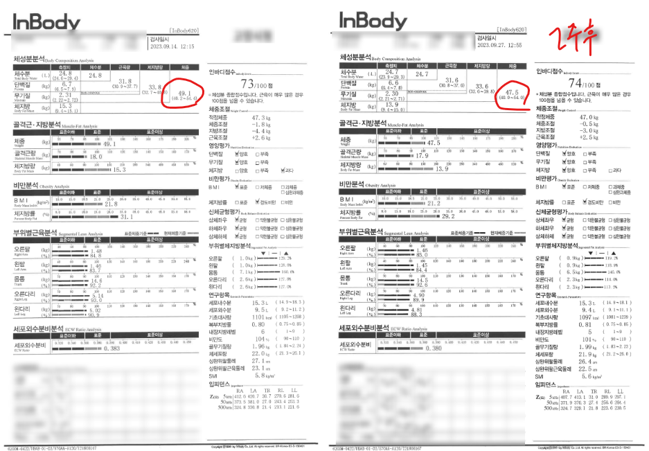 화면 캡처 2023-10-04 134513.png