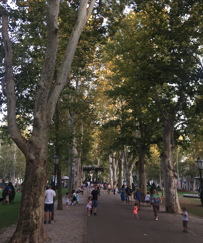 스크린샷 2022-08-17 오후 10.08.44.png