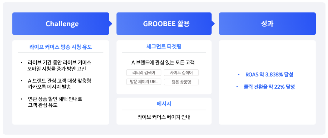 그림 2_P몰_캠페인 시나리오 및 성과.png
