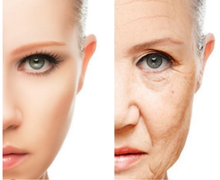 제목을-입력해주세요_-004 (87).png