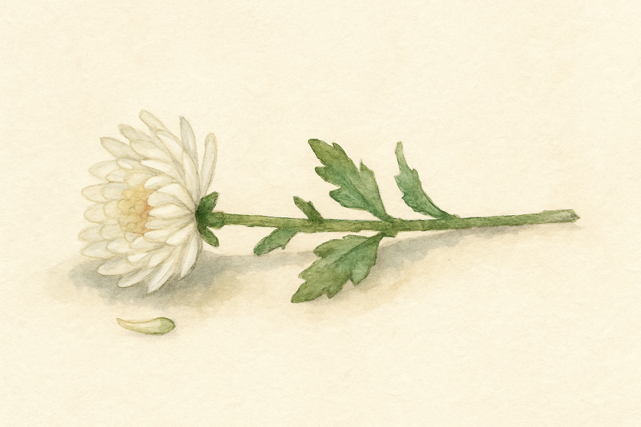 ChatGPT Image 2025년 5월 20일 오후 06_15_18.png