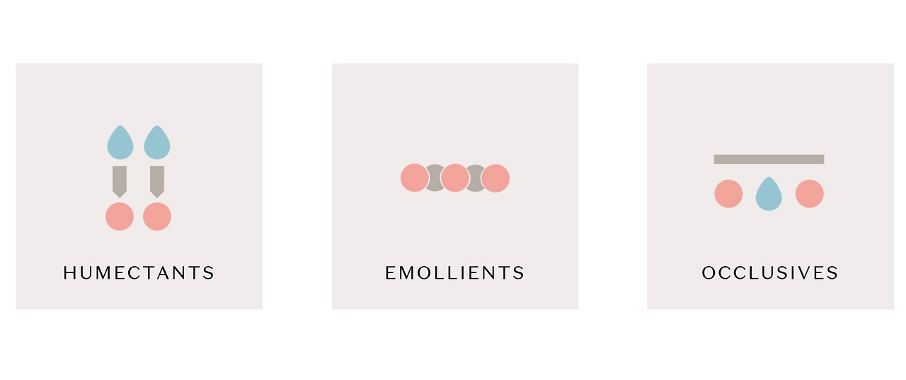 moisturizers.png