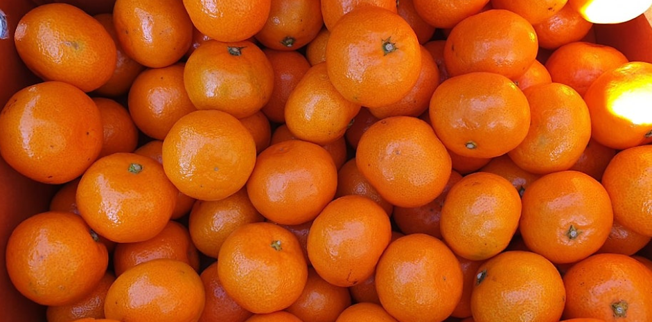 스크린샷 2025-10-29 132952.png